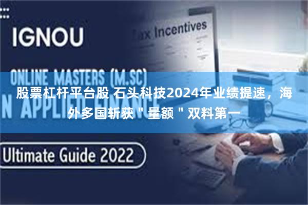 股票杠杆平台股 石头科技2024年业绩提速，海外多国斩获＂量额＂双料第一