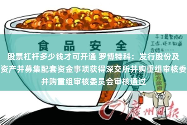 股票杠杆多少钱才可开通 罗博特科：发行股份及支付现金购买资产并募集配套资金事项获得深交所并购重组审核委员会审核通过