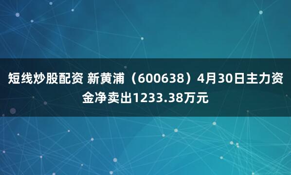 短线炒股配资 新黄浦（600638）4月30日主力资金净卖出1233.38万元