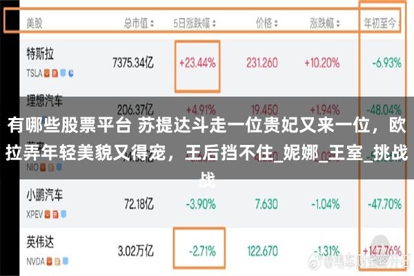 有哪些股票平台 苏提达斗走一位贵妃又来一位，欧拉弄年轻美貌又得宠，王后挡不住_妮娜_王室_挑战