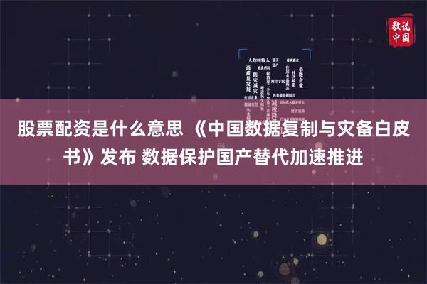 股票配资是什么意思 《中国数据复制与灾备白皮书》发布 数据保护国产替代加速推进