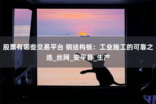 股票有哪些交易平台 钢结构板：工业施工的可靠之选_丝网_安平县_生产
