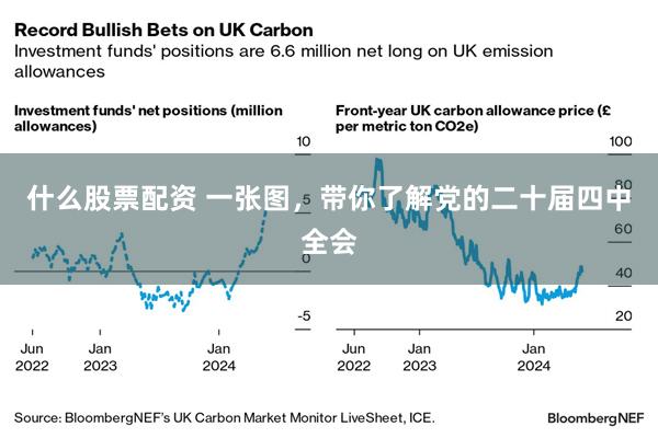 什么股票配资 一张图,带你了解党的二十届四中全会