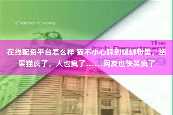 在线配资平台怎么样 猫不小心踩到螺蛳粉里,结果猫疯了,人也疯了……网友也快笑疯了