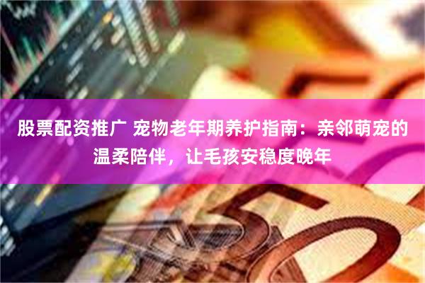 股票配资推广 宠物老年期养护指南：亲邻萌宠的温柔陪伴，让毛孩安稳度晚年