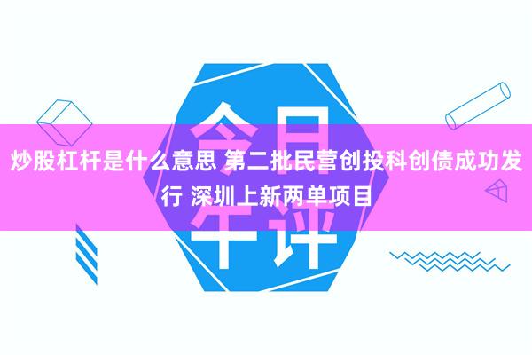 炒股杠杆是什么意思 第二批民营创投科创债成功发行 深圳上新两单项目
