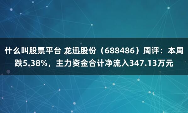 什么叫股票平台 龙迅股份（688486）周评：本周跌5.38%，主力资金合计净流入347.13万元